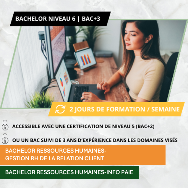 Programmes bac+3