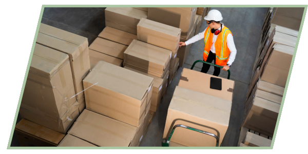 Image TP Assistant Import Export