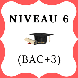 Niveau 6 - Bac+3
